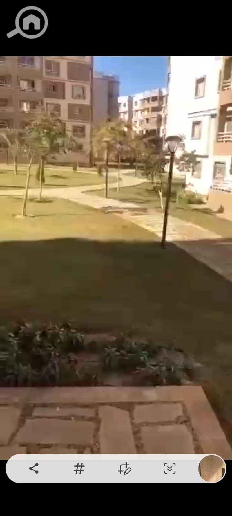 23 1001066506. jpg