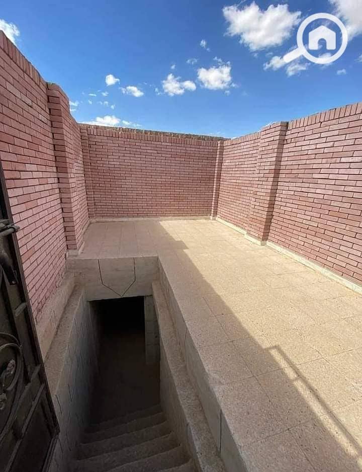 4 1000001083. jpg