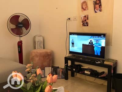 استوديو للبيع في مدينتي، القاهرة - 859669624_1425080363127097_5633889456647160705_n. jpg استوديو للبيع في مدينتي، القاهرة - 859669624_1425080363127097_5633889456647160705_n. jpg