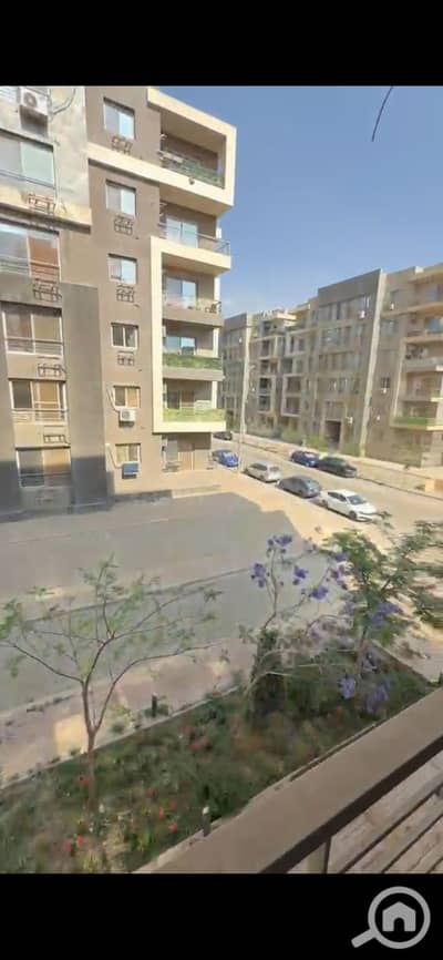 3 Bedroom Flat for Rent in New Cairo, Cairo - 57536. jpg 3 Bedroom Flat for Rent in New Cairo, Cairo - 57536. jpg
