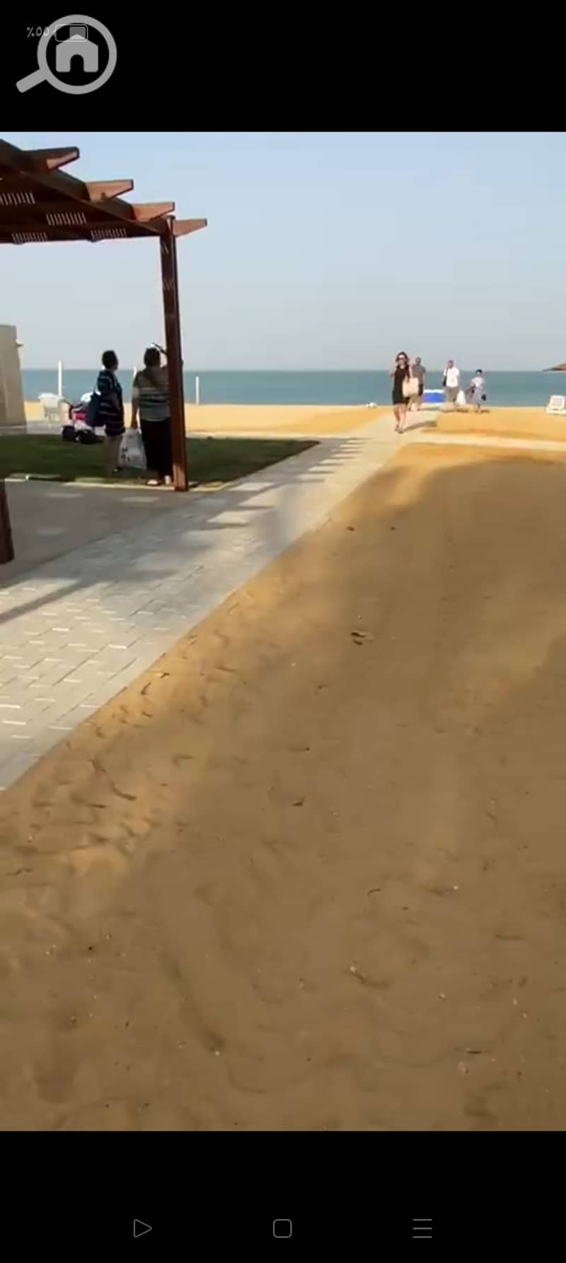 6 8438. jpg
