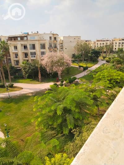 3 Bedroom Apartment for Sale in Sheikh Zayed, Giza - WhatsApp Image 2026-10-24 at 12.11. 54 PM (2). jpeg 3 Bedroom Apartment for Sale in Sheikh Zayed, Giza - WhatsApp Image 2026-10-24 at 12.11. 54 PM (2). jpeg