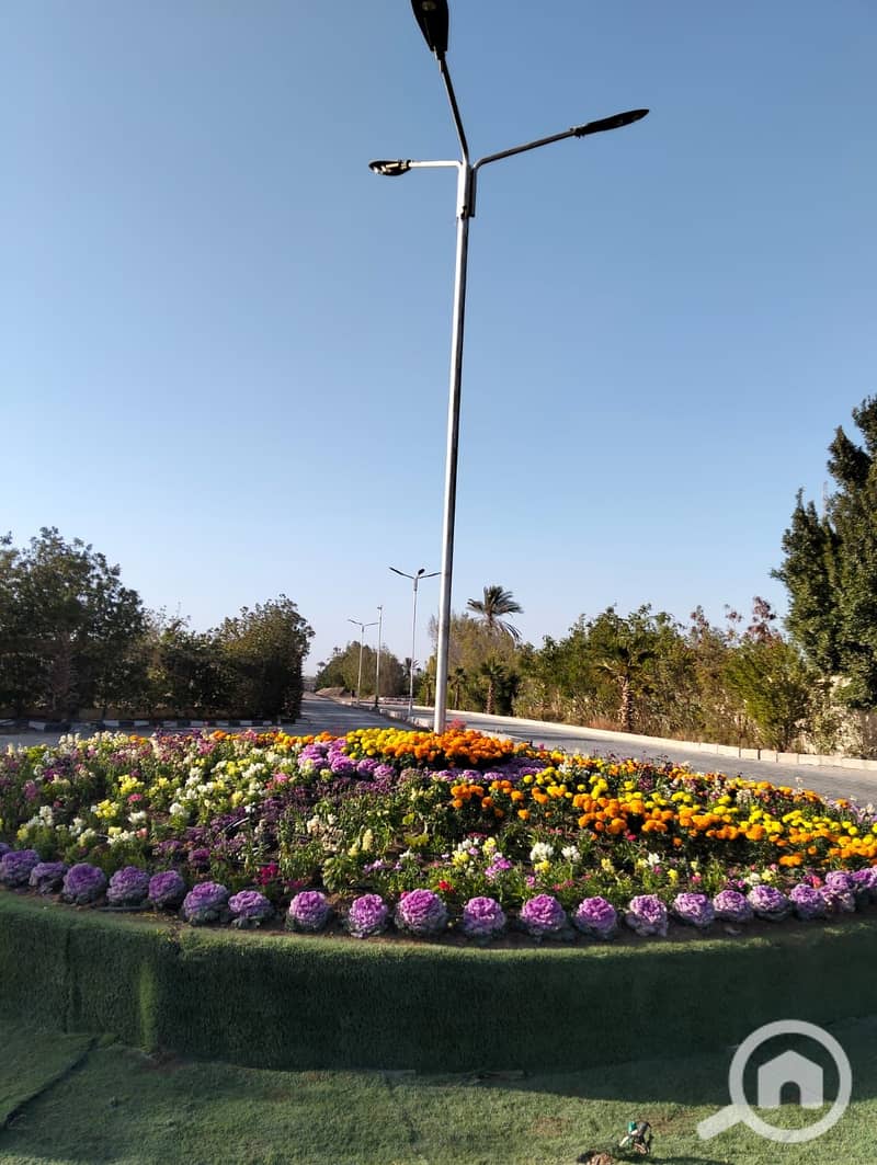 8 60496. jpg