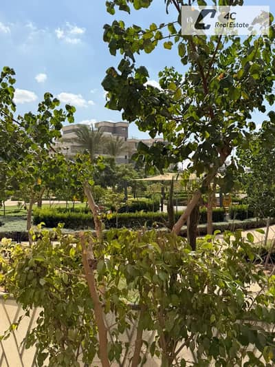 شقة 3 غرف نوم للايجار في القاهرة الجديدة، القاهرة - WhatsApp Image 2026-10-18 at 4.41. 52 PM. jpeg شقة 3 غرف نوم للايجار في القاهرة الجديدة، القاهرة - WhatsApp Image 2026-10-18 at 4.41. 52 PM. jpeg
