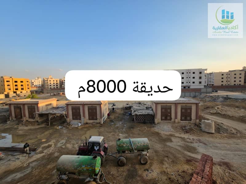 2 70466. jpg