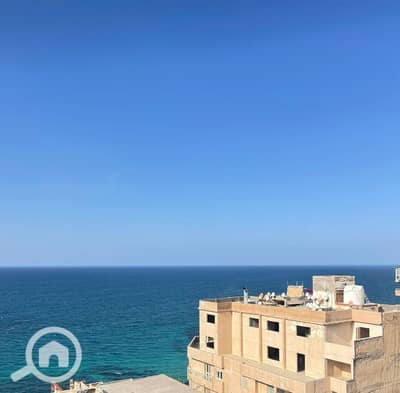 فلیٹ 4 غرف نوم للبيع في كامب شيزار، الإسكندرية - 203029. jpg فلیٹ 4 غرف نوم للبيع في كامب شيزار، الإسكندرية - 203029. jpg