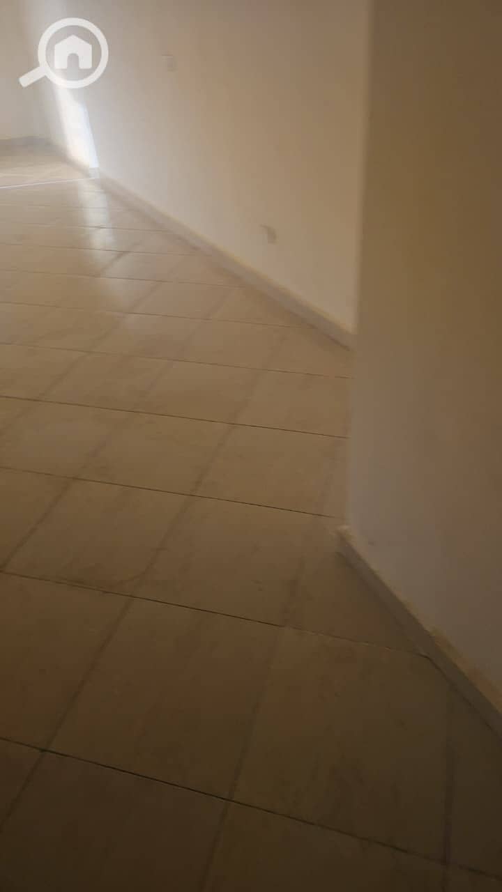 6 57774. jpg