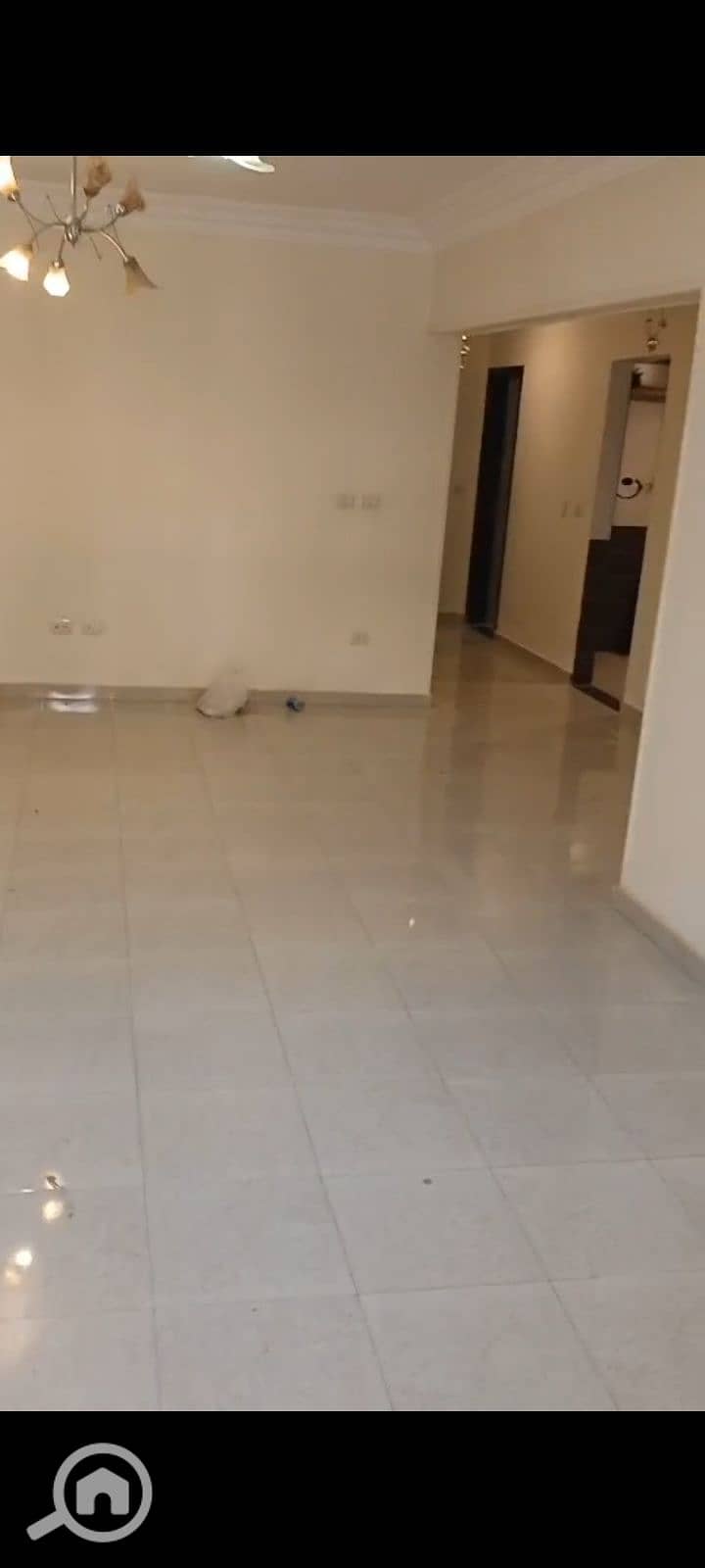 8 1000116699. jpg