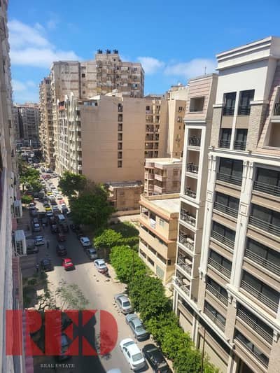 3 Bedroom Flat for Sale in Smoha, Alexandria - WhatsApp Image 2026-10-25 at 5.36. 25 PM (6). jpeg 3 Bedroom Flat for Sale in Smoha, Alexandria - WhatsApp Image 2026-10-25 at 5.36. 25 PM (6). jpeg