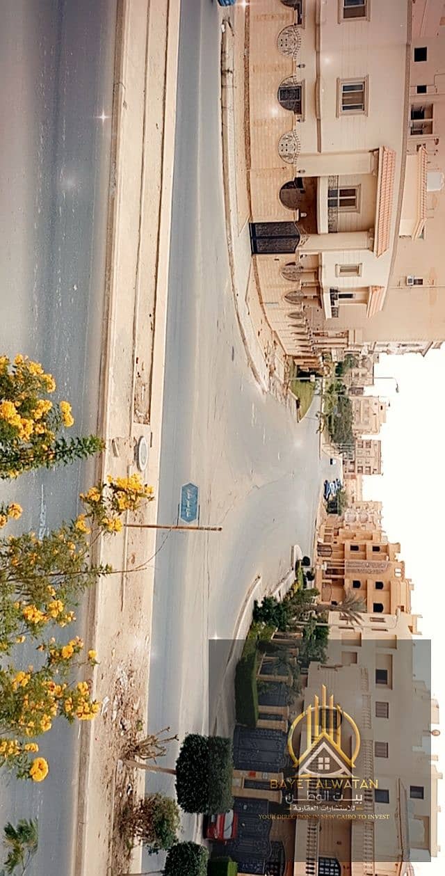 8 1000355669. jpg