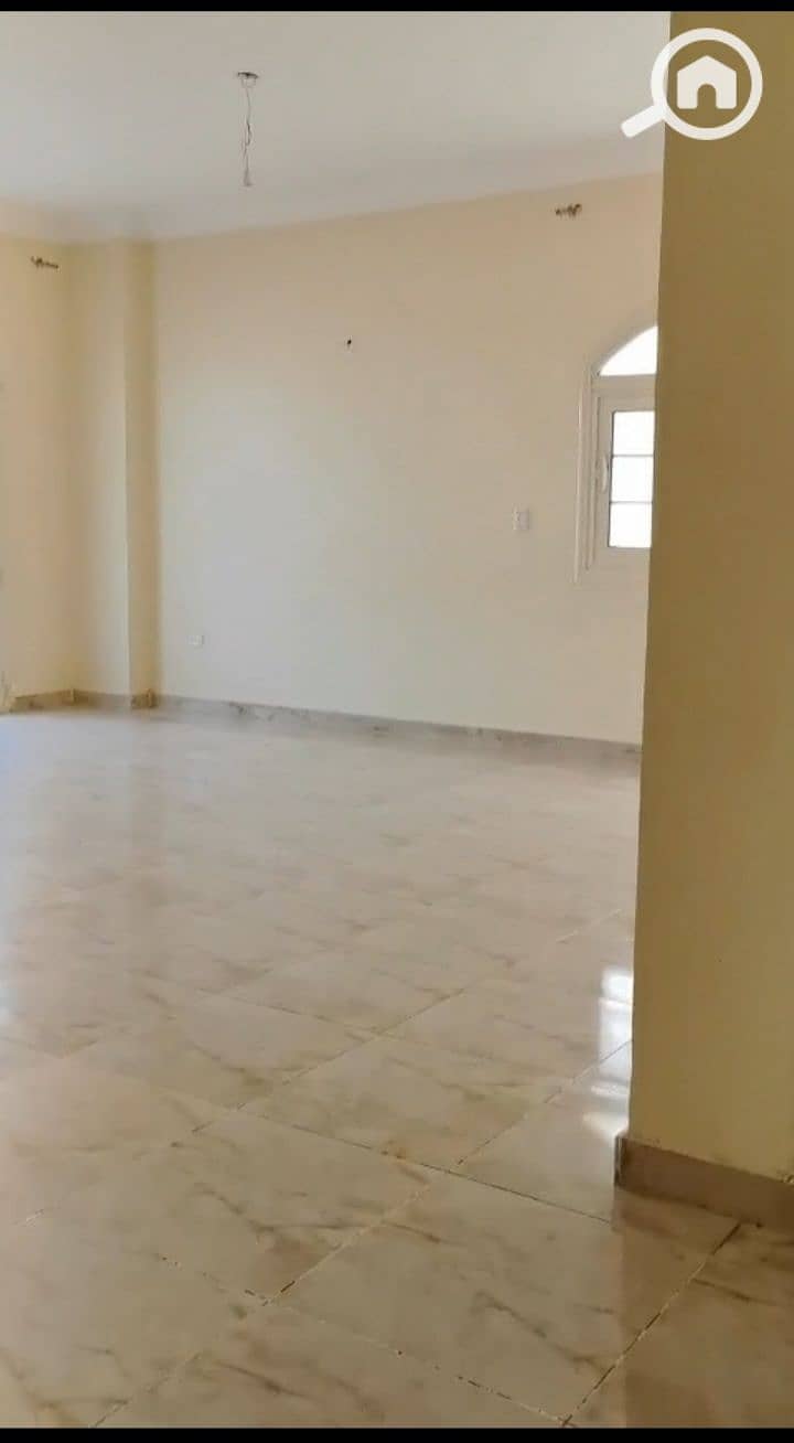 4 55737. jpg