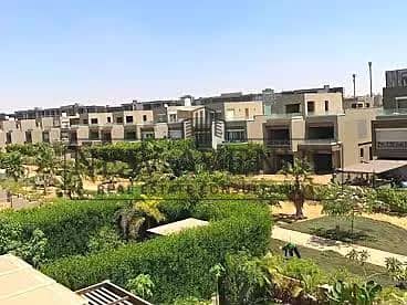 7 56245. jpg