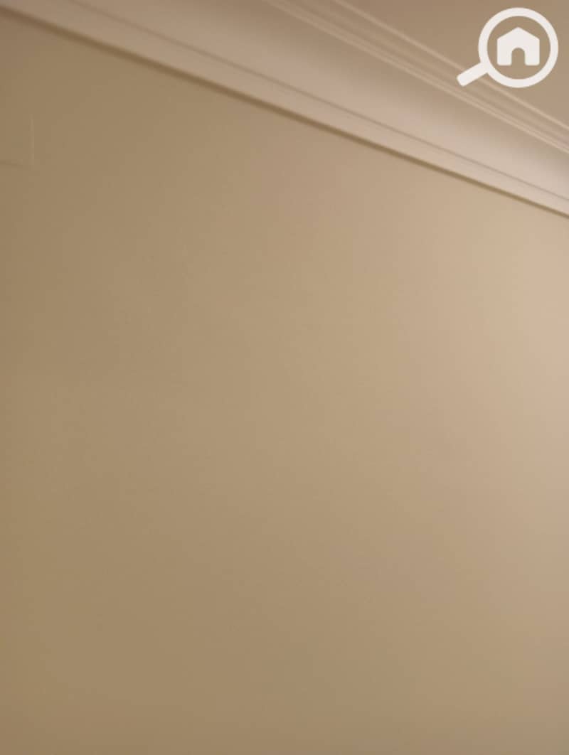 20 1000281338. jpg