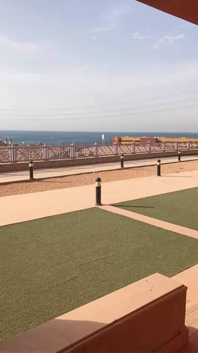 شاليه 2 غرفة نوم للبيع في العين السخنة، السويس - شاليه مميز دور ارضى بحديقة رؤية واضحة للبحر ببورتو السخنة البهامز شاليه 2 غرفة نوم للبيع في العين السخنة، السويس - شاليه مميز دور ارضى بحديقة رؤية واضحة للبحر ببورتو السخنة البهامز