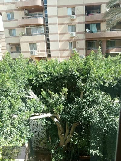 فلیٹ 3 غرف نوم للايجار في القاهرة الجديدة، القاهرة - 1000489187. jpg فلیٹ 3 غرف نوم للايجار في القاهرة الجديدة، القاهرة - 1000489187. jpg