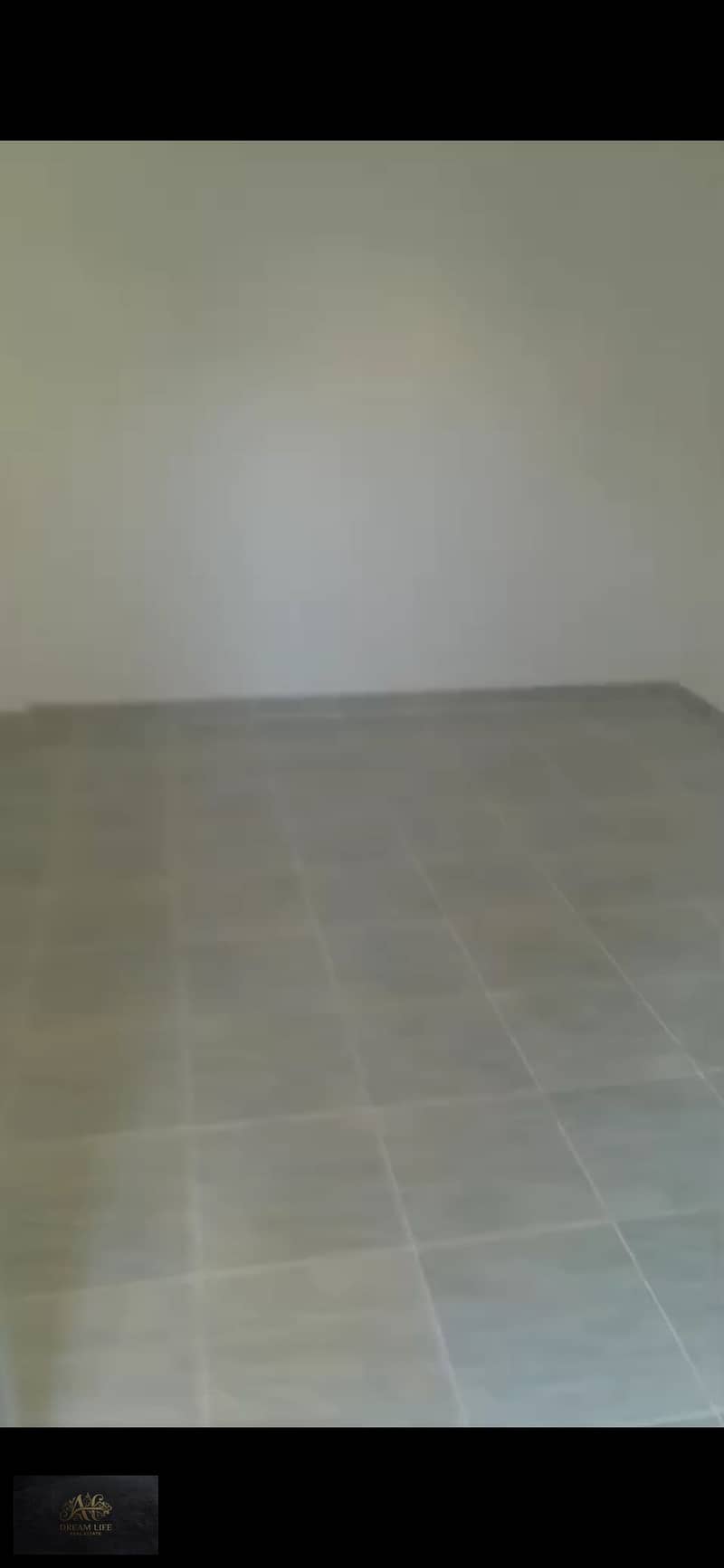 3 1000489376. jpg