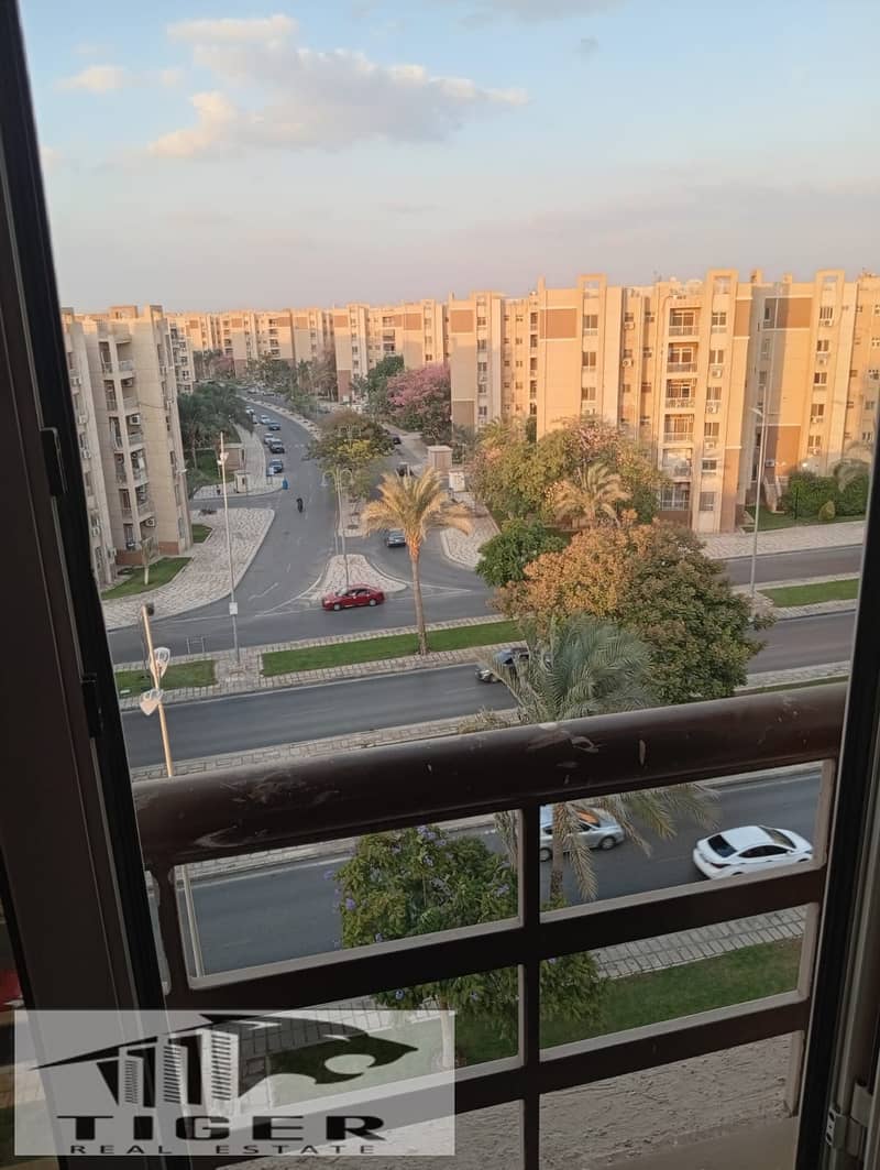 19 1002788211. jpg