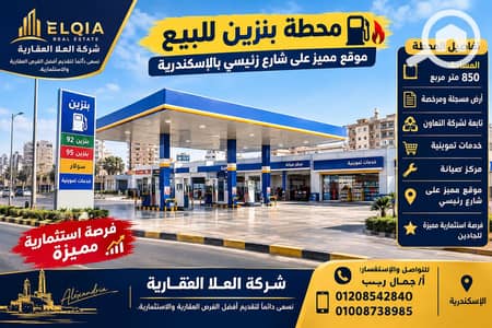 عقارات تجارية اخرى للبيع في السيوف، الإسكندرية - 1000791870. png عقارات تجارية اخرى للبيع في السيوف، الإسكندرية - 1000791870. png
