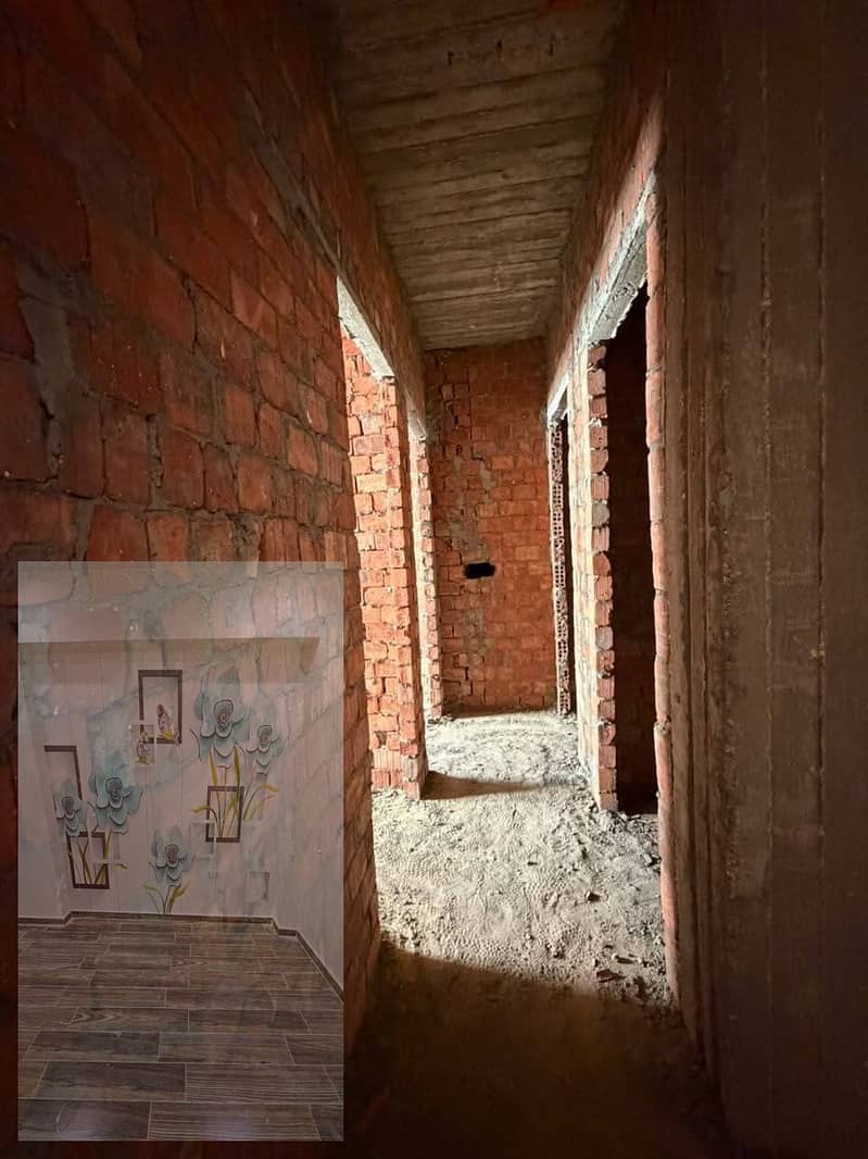 5 1002099528. jpg