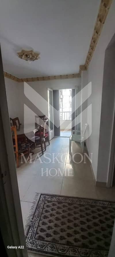 3 Bedroom Apartment for Rent in Miami, Alexandria - WhatsApp Image 2026-10-15 at 5.14. 58 PM. jpeg 3 Bedroom Apartment for Rent in Miami, Alexandria - WhatsApp Image 2026-10-15 at 5.14. 58 PM. jpeg