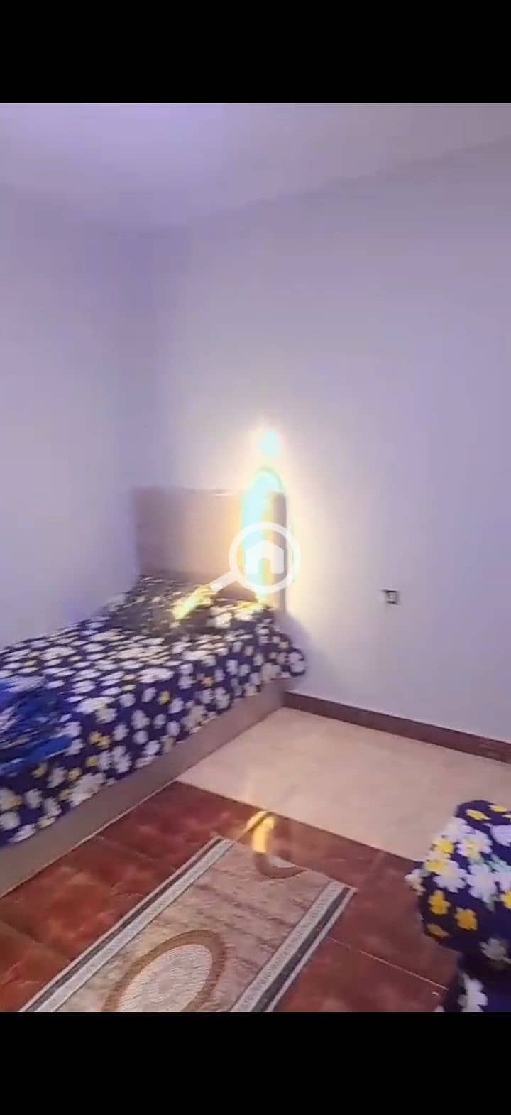 3 237838. jpg