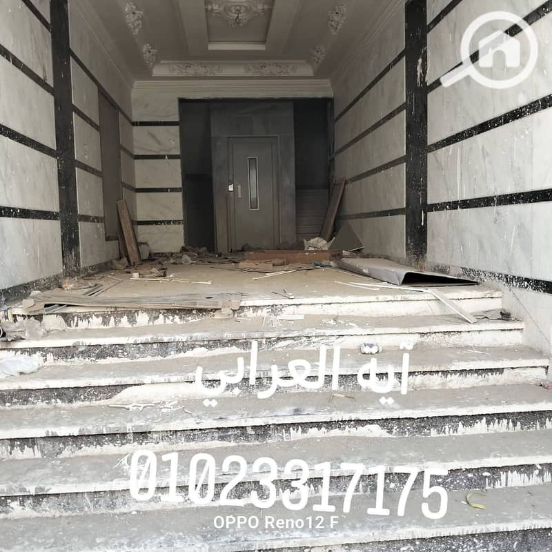 5 137925. jpg