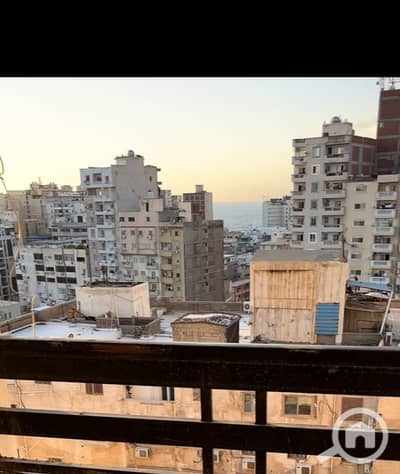 شقة 4 غرف نوم للبيع في بولكلي، الإسكندرية - WhatsApp Image 2026-10-25 at 1.56. 21 PM (3). jpeg