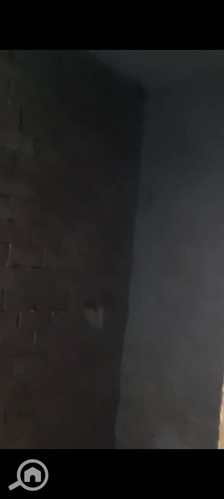 24 1002186092. png