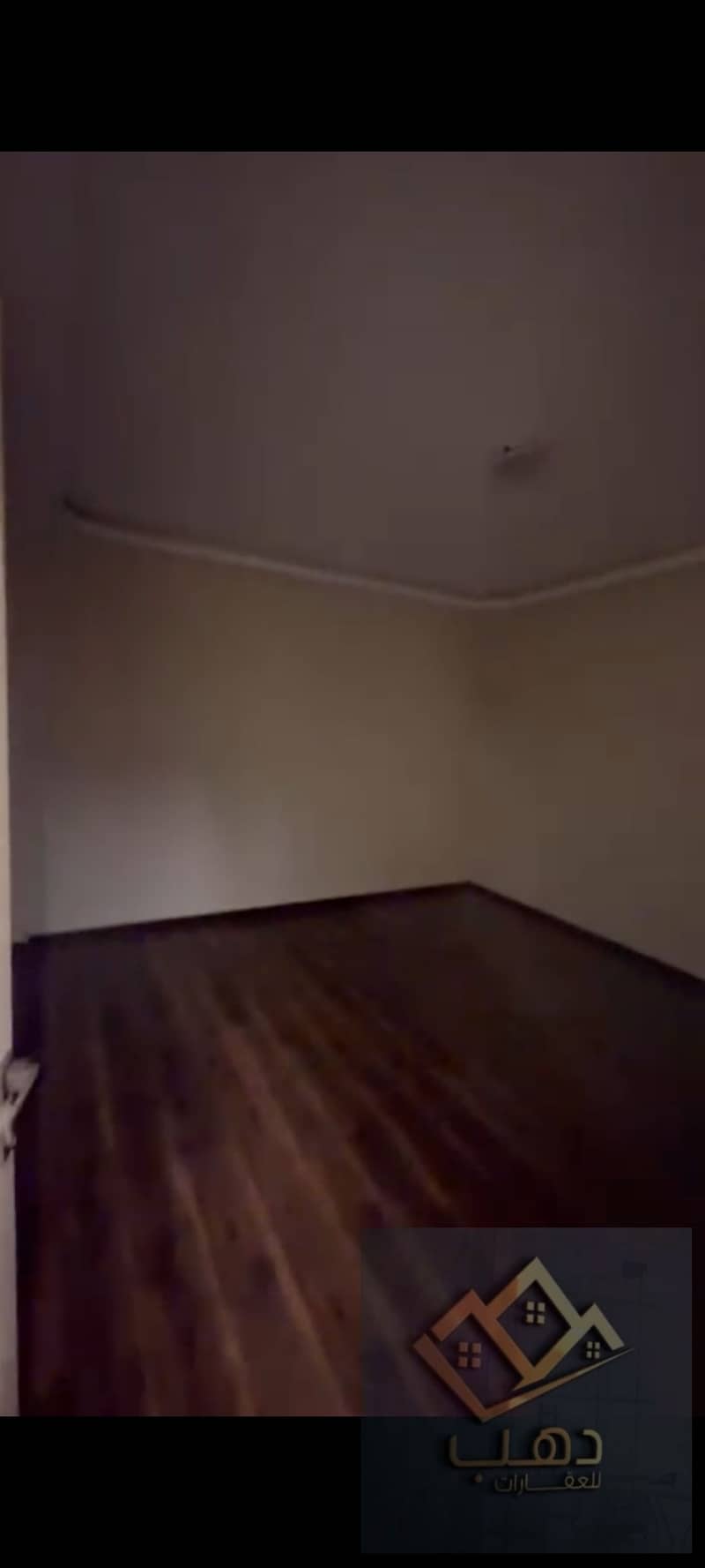 11 600169. jpg