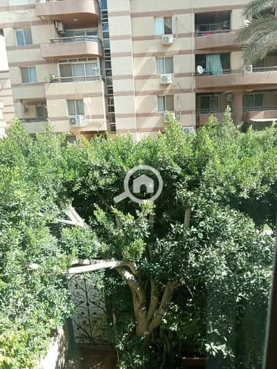 شقة 3 غرف نوم للايجار في القاهرة الجديدة، القاهرة - IMG_2046. jpeg شقة 3 غرف نوم للايجار في القاهرة الجديدة، القاهرة - IMG_2046. jpeg