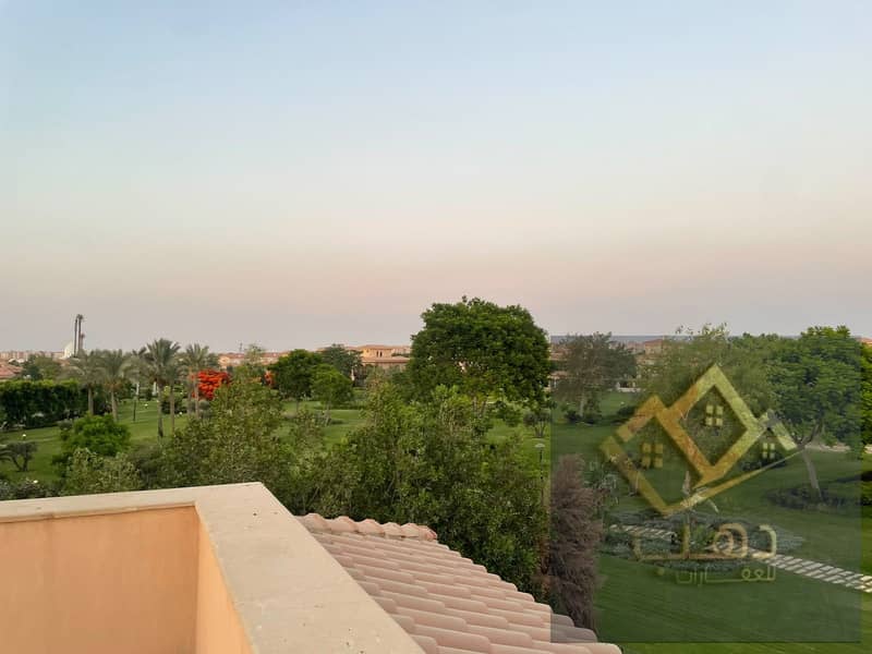 8 600304. jpg