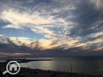 شقة 3 غرف نوم للايجار في سيدي بشر، الإسكندرية - WhatsApp Image 2026-10-12 at 17.04. 50 (2). jpeg شقة 3 غرف نوم للايجار في سيدي بشر، الإسكندرية - WhatsApp Image 2026-10-12 at 17.04. 50 (2). jpeg