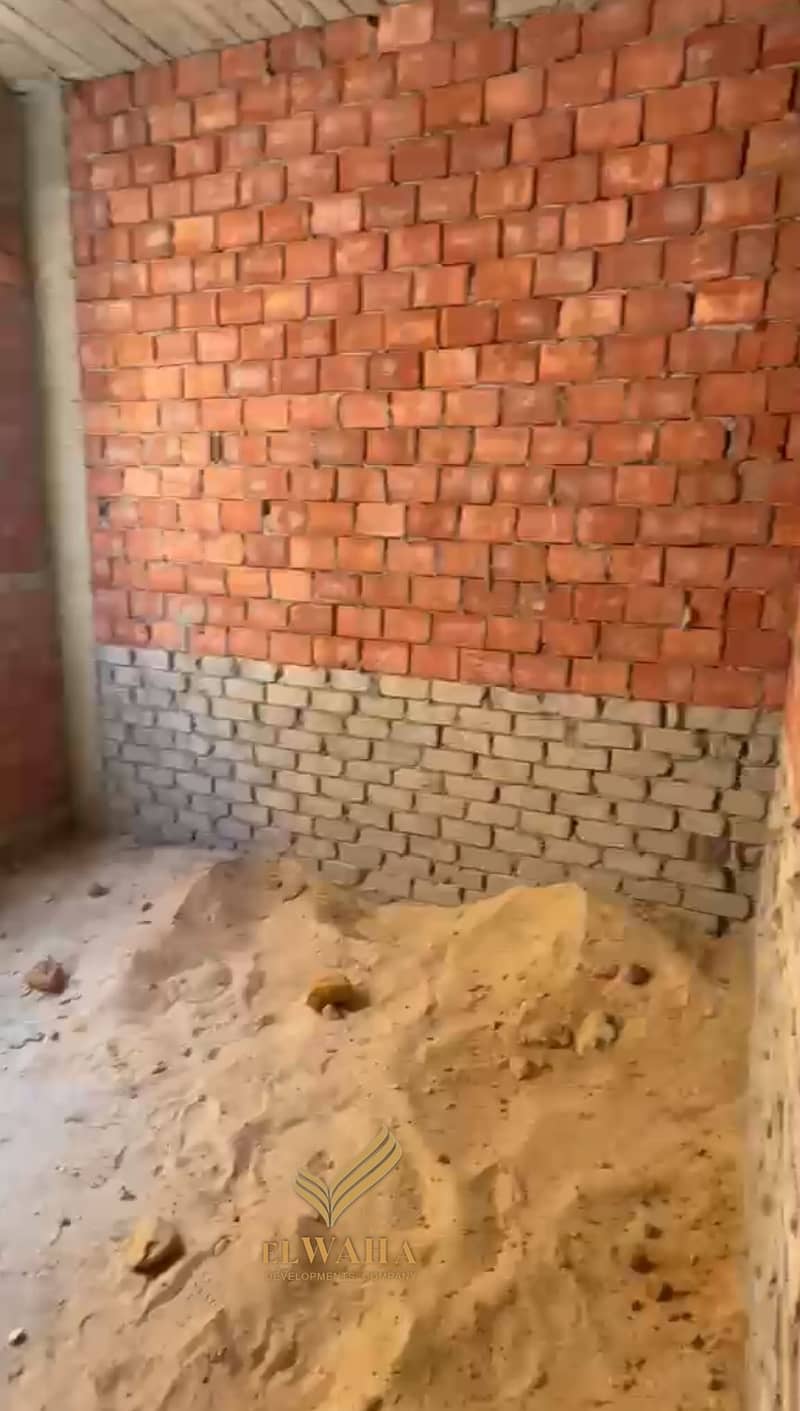7 1000136883. jpg