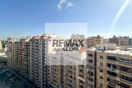 فلیٹ 3 غرف نوم للايجار في سموحة، الإسكندرية - 1. jpg فلیٹ 3 غرف نوم للايجار في سموحة، الإسكندرية - 1. jpg