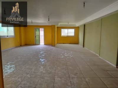 3 Bedroom Flat for Sale in Maadi, Cairo - 1000504860. jpg 3 Bedroom Flat for Sale in Maadi, Cairo - 1000504860. jpg