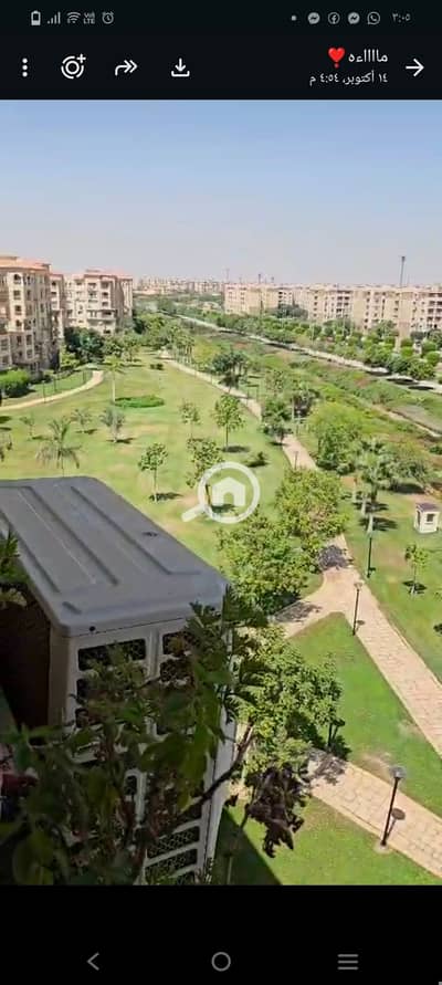 3 Bedroom Flat for Sale in Madinaty, Cairo - 1000501115. jpg 3 Bedroom Flat for Sale in Madinaty, Cairo - 1000501115. jpg
