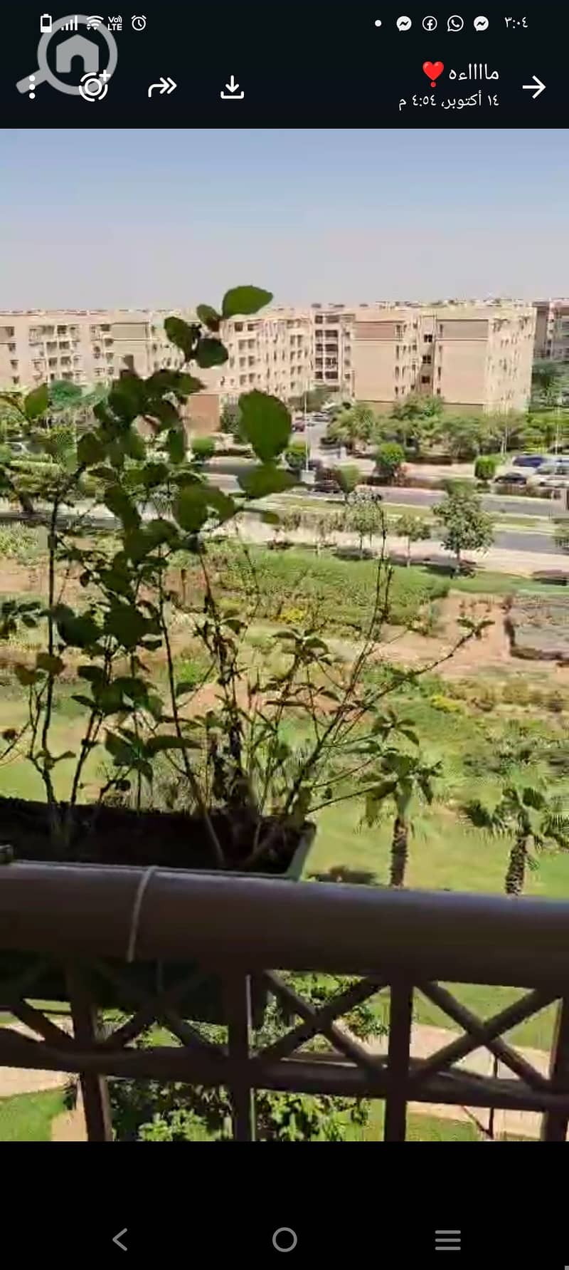 8 1000501101. jpg