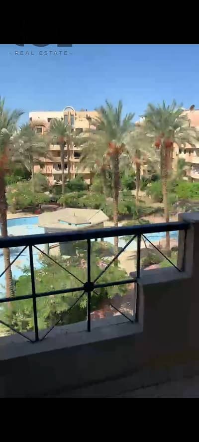 شقة 4 غرف نوم للبيع في القاهرة الجديدة، القاهرة - WhatsApp Image 2026-10-26 at 3.25. 52 PM (1). jpeg شقة 4 غرف نوم للبيع في القاهرة الجديدة، القاهرة - WhatsApp Image 2026-10-26 at 3.25. 52 PM (1). jpeg