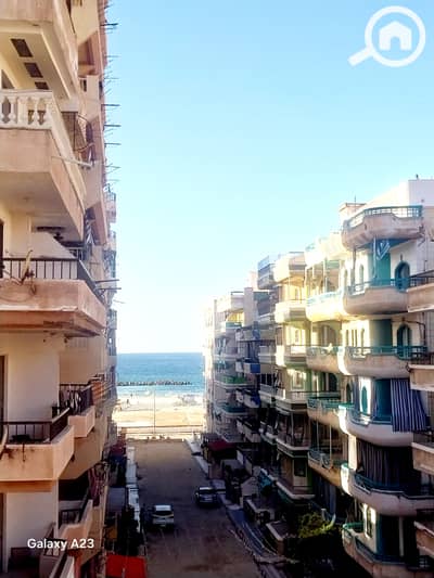 2 Bedroom Apartment for Sale in Nakheel, Alexandria - 1000540197. heic 2 Bedroom Apartment for Sale in Nakheel, Alexandria - 1000540197. heic