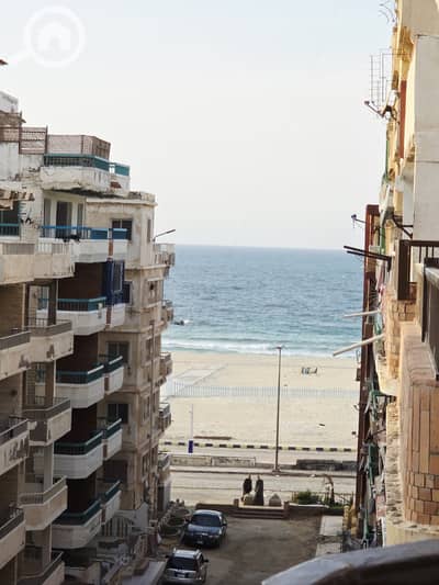 شقة 3 غرف نوم للبيع في النخيل، الإسكندرية - 1000526362. jpg شقة 3 غرف نوم للبيع في النخيل، الإسكندرية - 1000526362. jpg