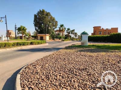 Land for Sale in King Mariout, Alexandria - WhatsApp Image 2026-10-20 at 8.42. 17 PM. jpeg Land for Sale in King Mariout, Alexandria - WhatsApp Image 2026-10-20 at 8.42. 17 PM. jpeg