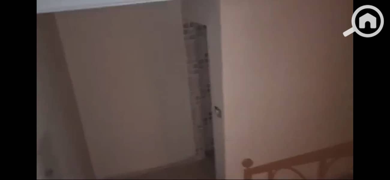 5 1000088446. jpg