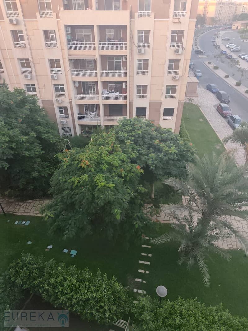 3 IMG_4582. jpeg
