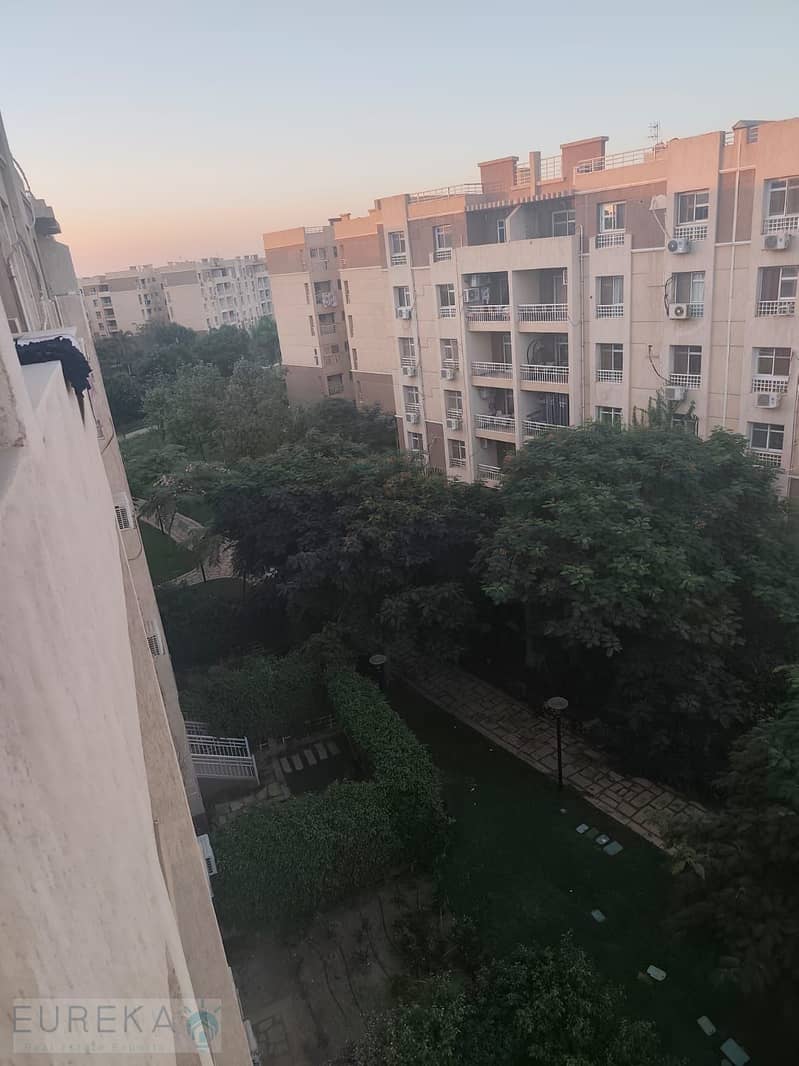 6 IMG_4585. jpeg