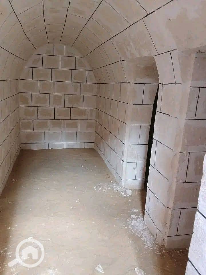 3 1000022756. jpg
