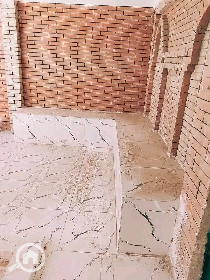 6 1000022759. jpg
