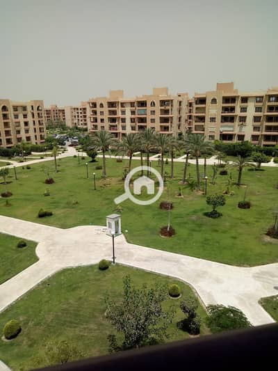 3 Bedroom Apartment for Sale in New Cairo, Cairo - 1001976553. jpg