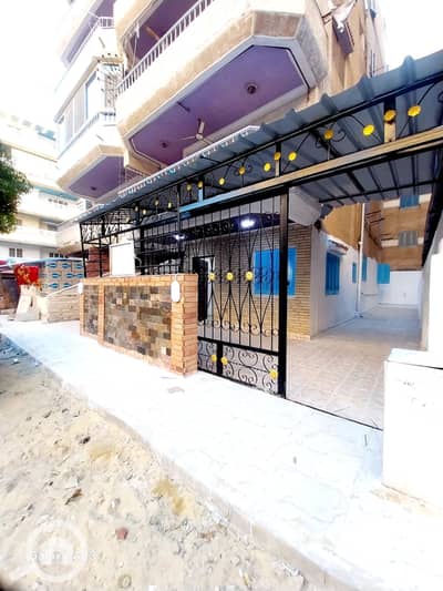 2 Bedroom Apartment for Sale in Nakheel, Alexandria - 1000540862. heic 2 Bedroom Apartment for Sale in Nakheel, Alexandria - 1000540862. heic