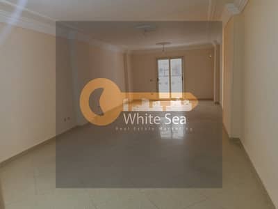 Office for Rent in Bolkly, Alexandria - 1001258030. jpg