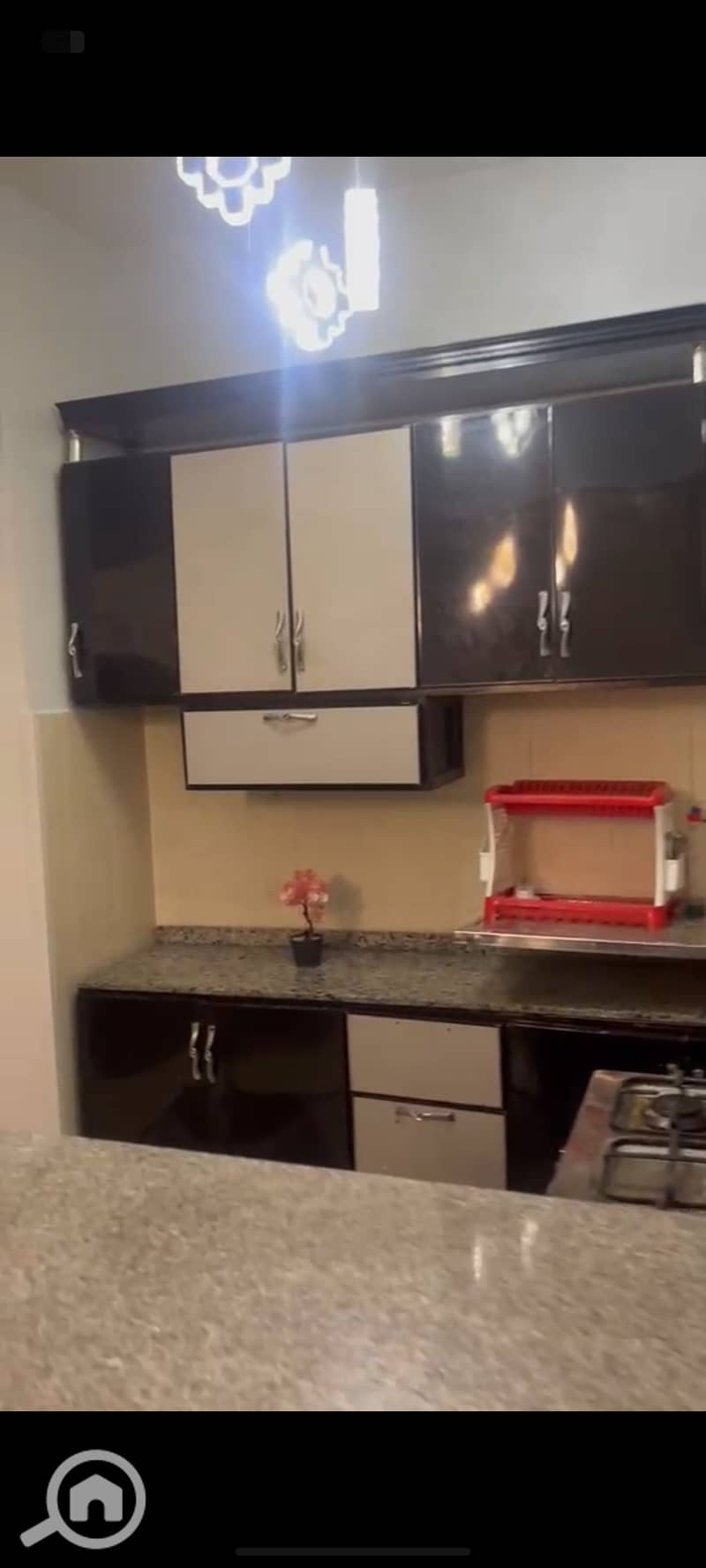 4 31838. jpg